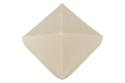 Model 110_California_cover_EcruB.png