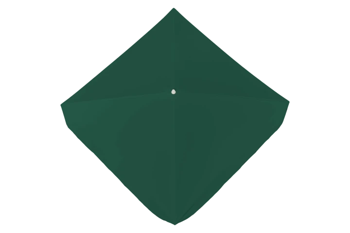 Model 110_California_cover_green.png