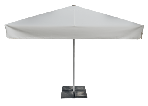 Model 116_Amico.png