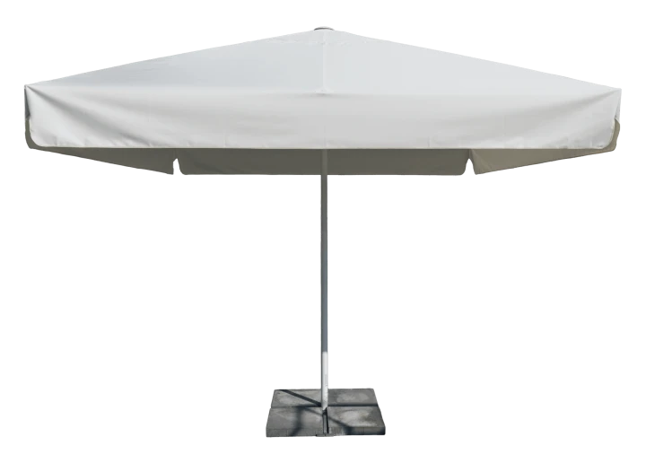 Model 116_Amico_2.png
